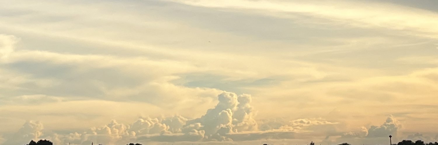 w banner