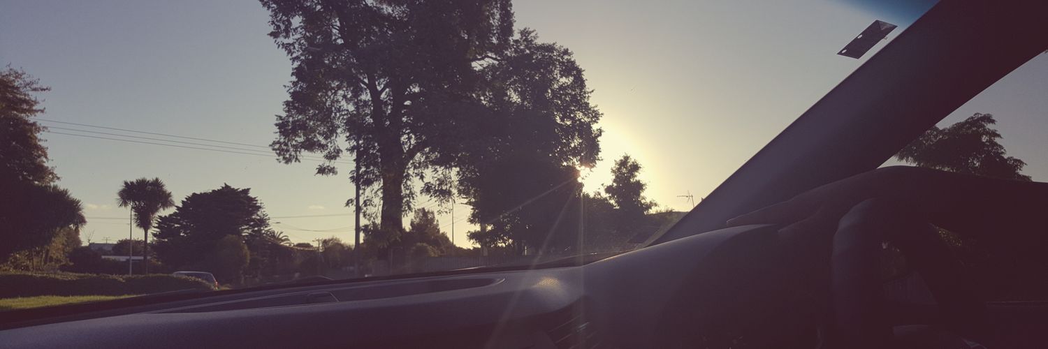 CelesteCarnow's profile banner image