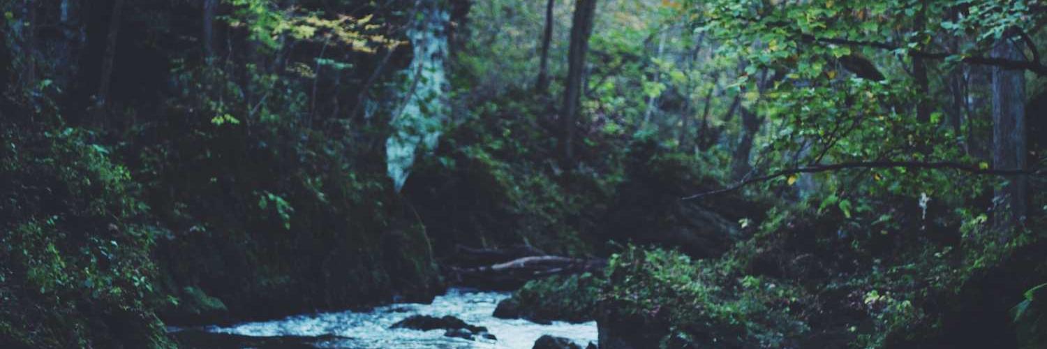 mbortolon97's profile banner image