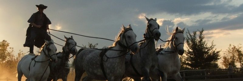 Gombb1's profile banner image