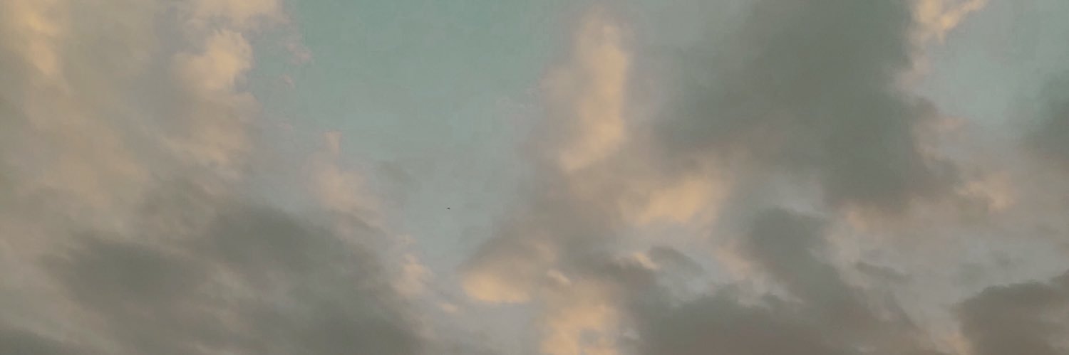 virginiangela's profile banner image