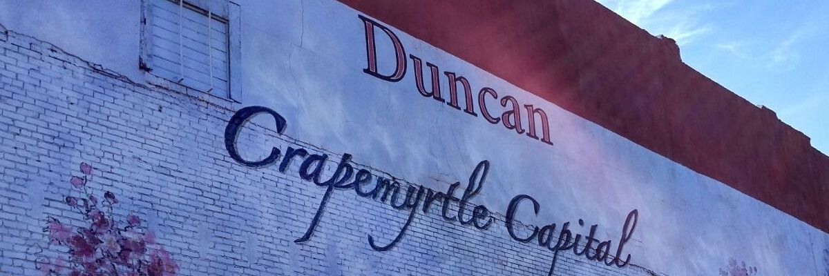 alexanderberutu's profile banner image