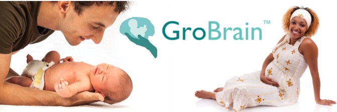 GroBrain banner