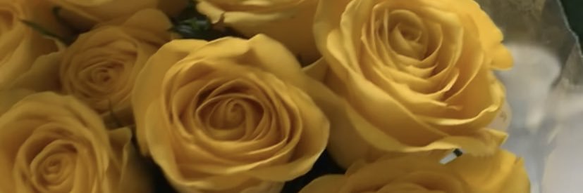 stef_lagaf's profile banner image