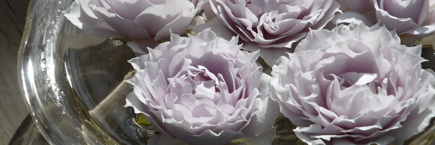 木村 卓功（きむらたくのり） banner