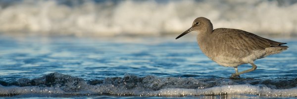 MikeHGoldstein Profile Banner