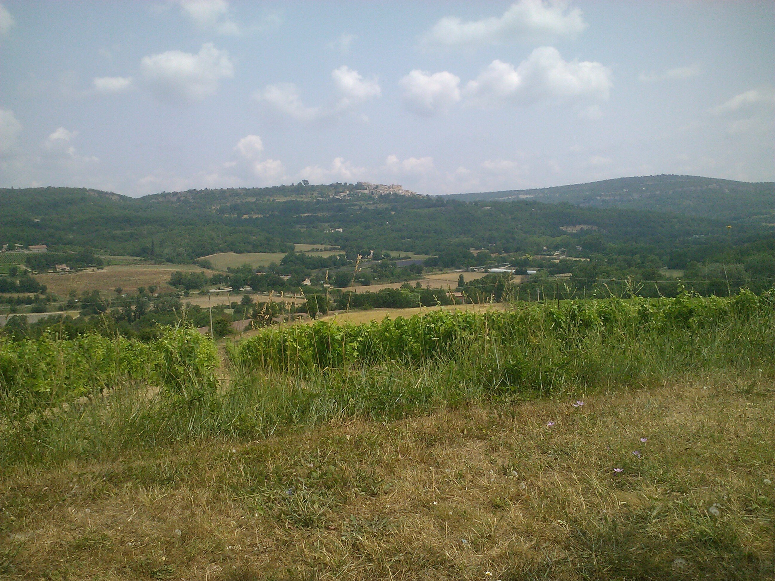 Roelof Keppel banner