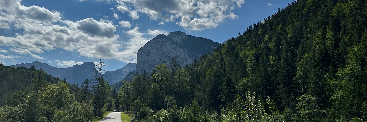 Nicolas Zimmer banner