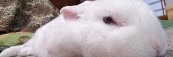 R_k_R_b_ Profile Banner