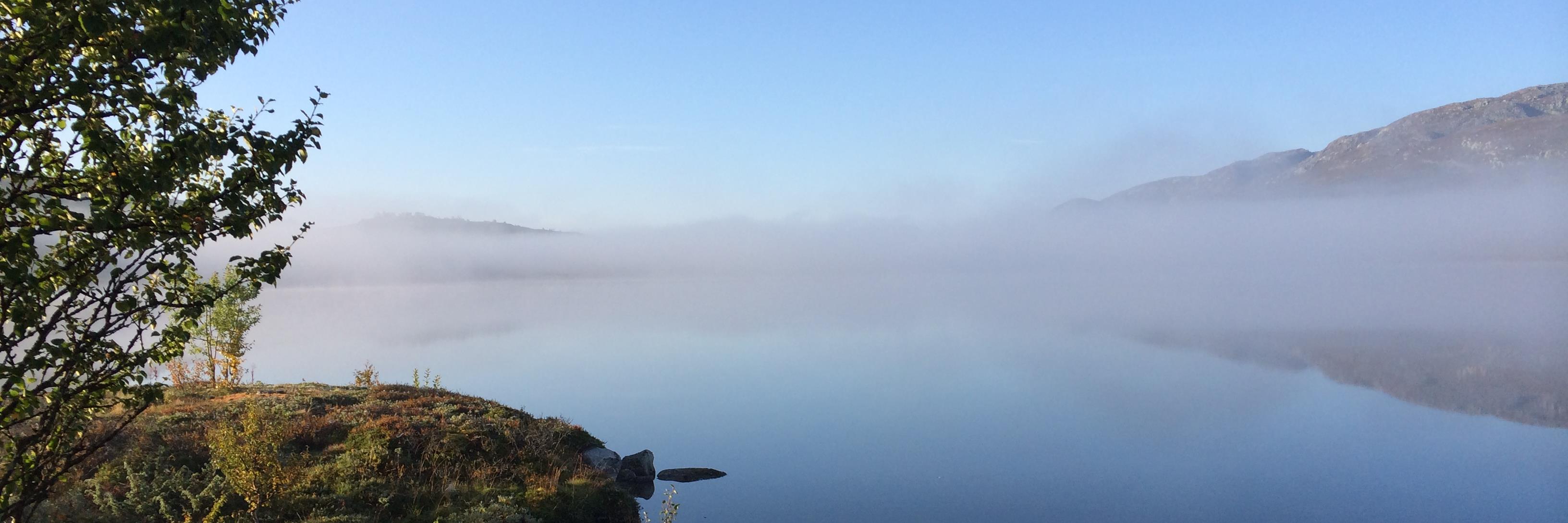 kvitregerd's profile banner image