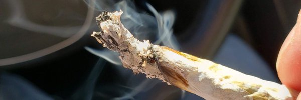 MonkFunkSeeds Profile Banner