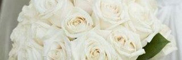 threadslife125 Profile Banner