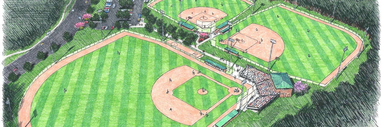 Knothole Foundation of the Carolinas's banner