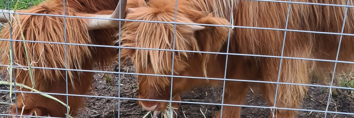 Robert  Cooke banner