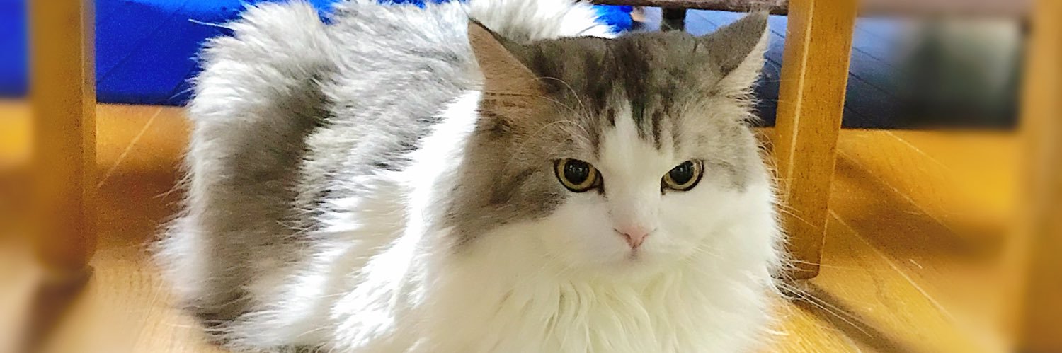 ＠アーサー banner