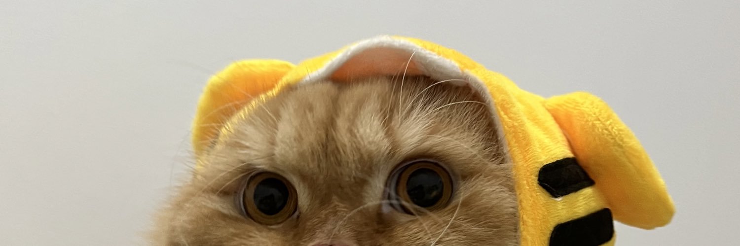 HG banner