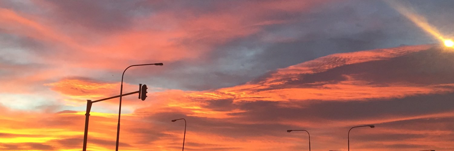 Ginger Cookie Merchant banner