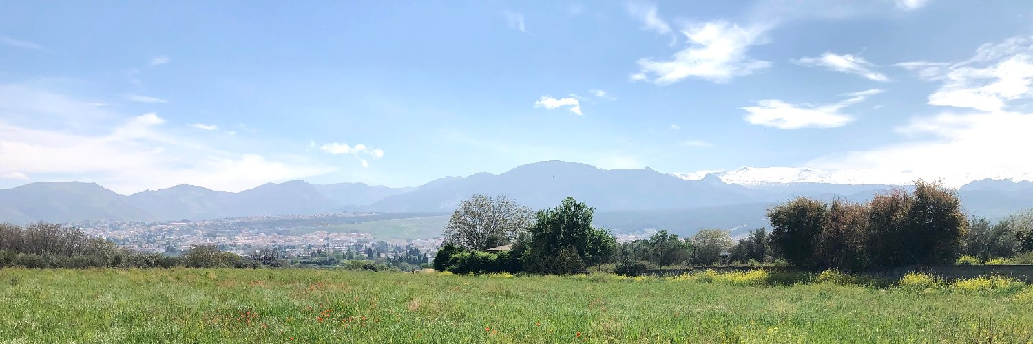 Manuel Martín banner