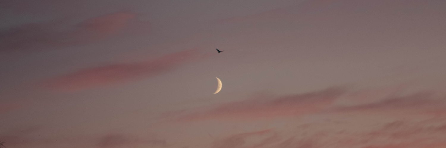 PiersMac's profile banner image