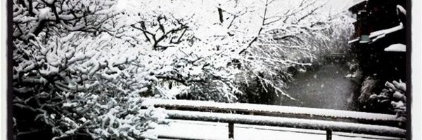 ProBoffin Profile Banner