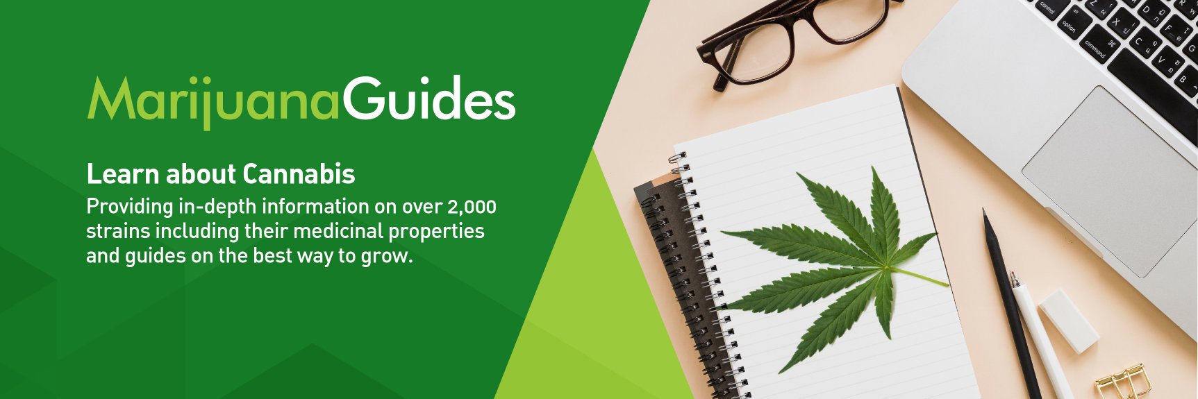 MarijuanaInfo's profile banner image