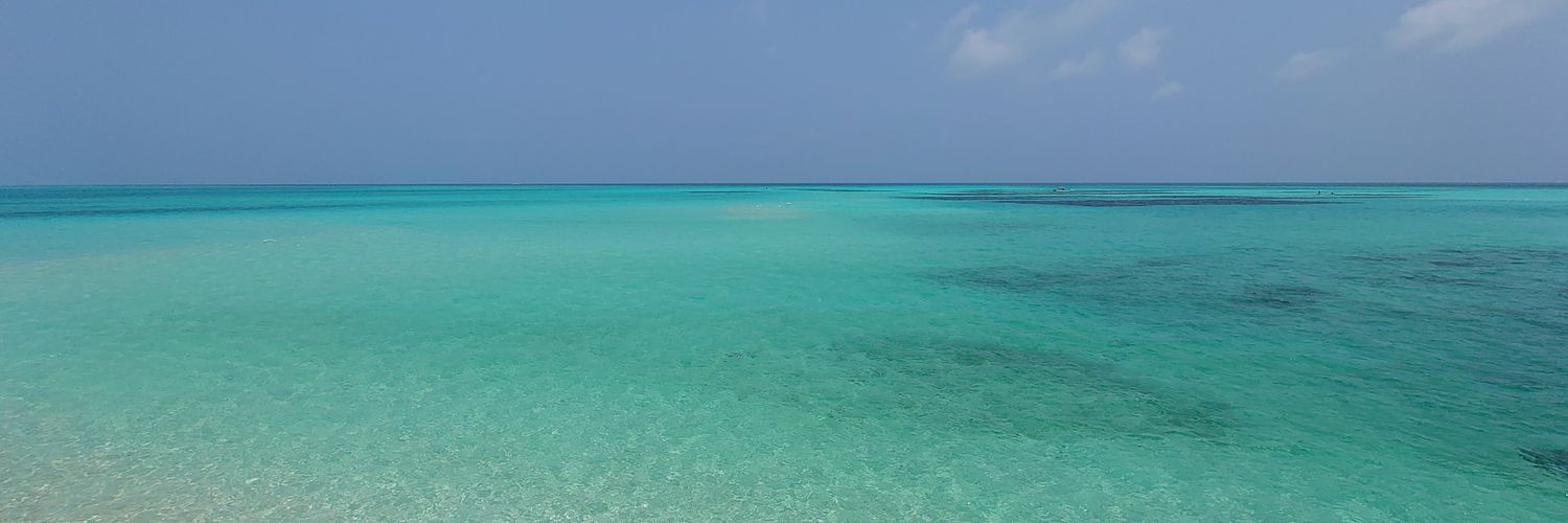 mikui134's profile banner image