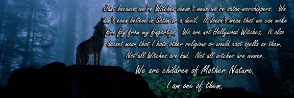 CaidanPhoenix Profile Banner