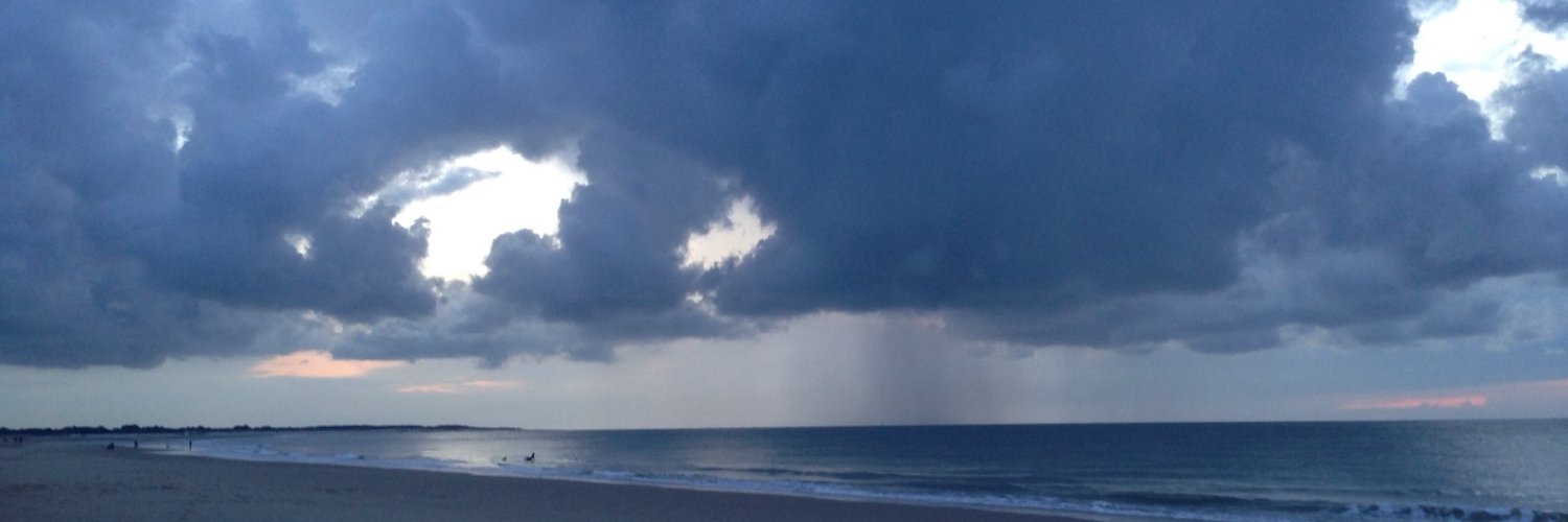 Leo van Gelder banner