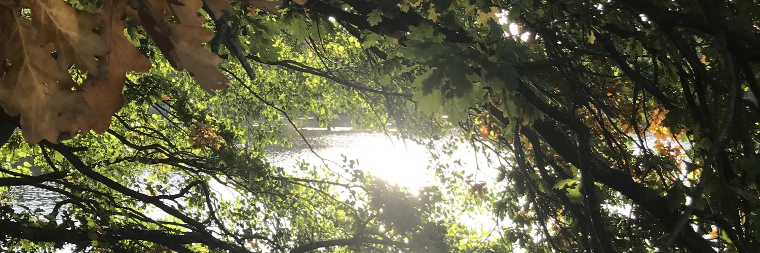 emzanddaze's profile banner image
