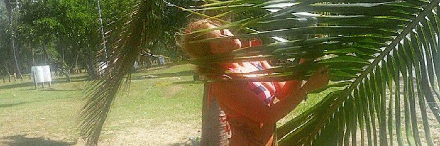 Rachel_Ray420's profile banner image