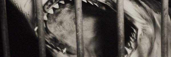 sinpiggyhead Profile Banner
