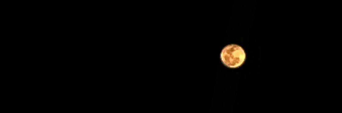 nrogel's profile banner image