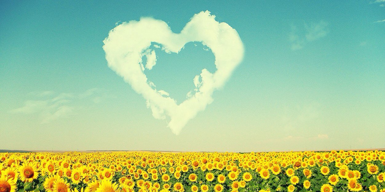 cico0516's profile banner image