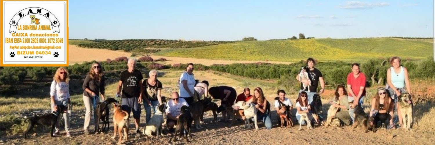 La Sonrisa Animal (Lasa)®'s banner