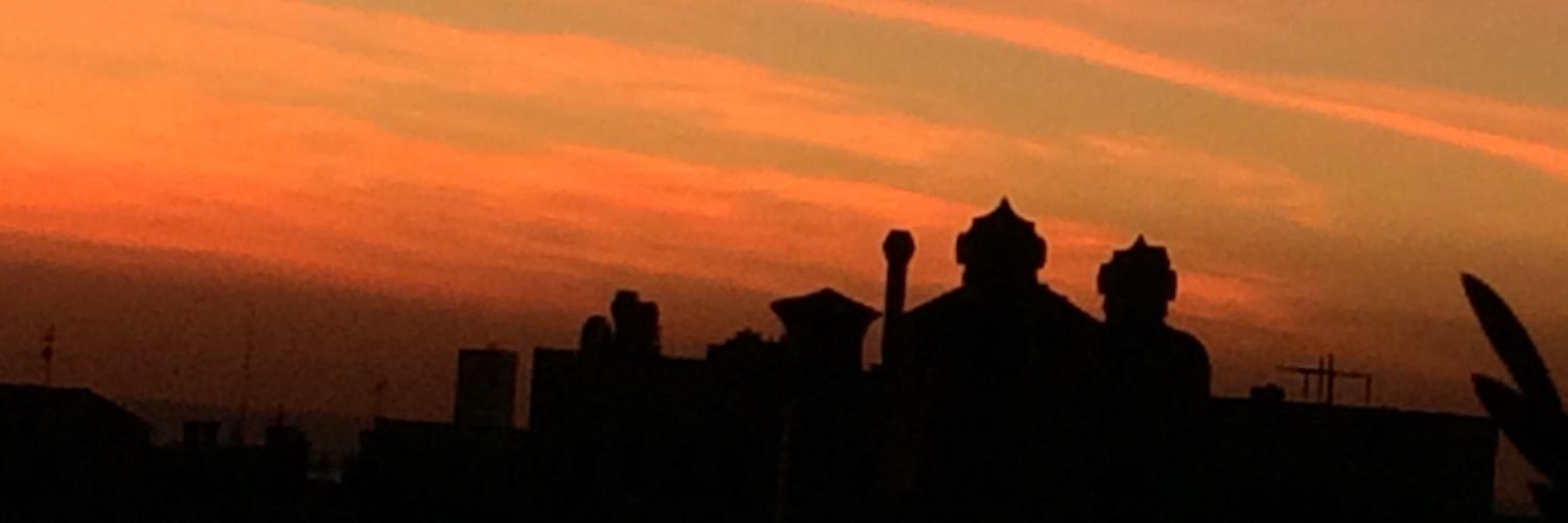 Mic_Bortoluzzi's profile banner image