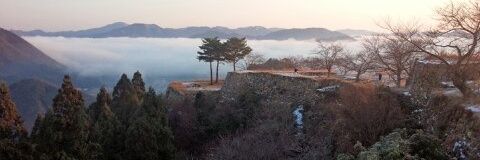 ワライタケ（かにたん） banner