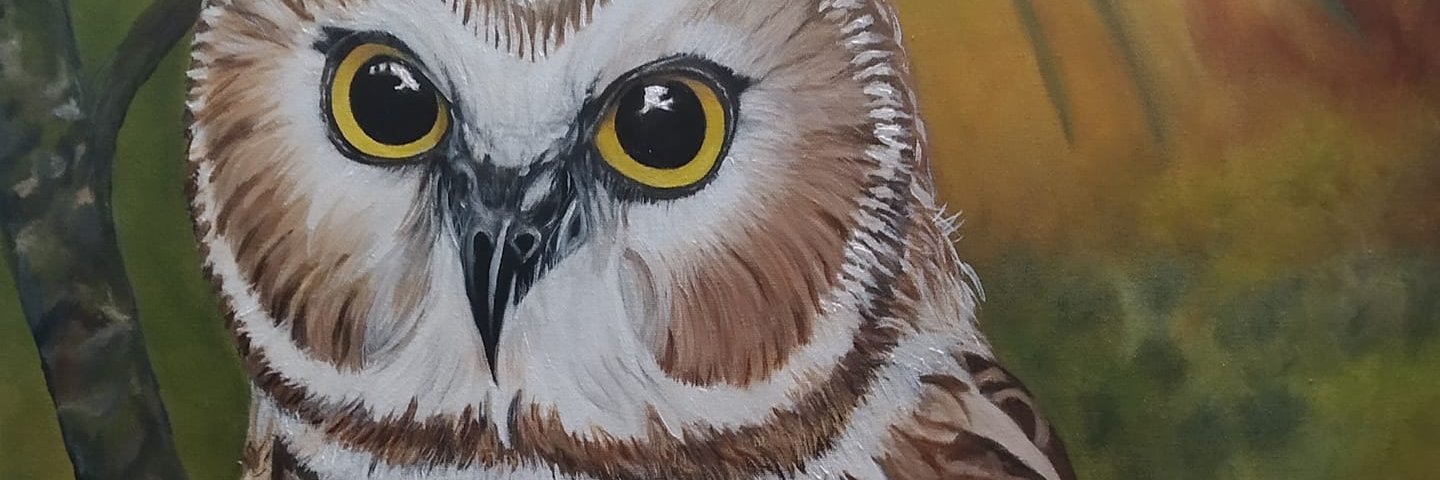 matasi53's profile banner image