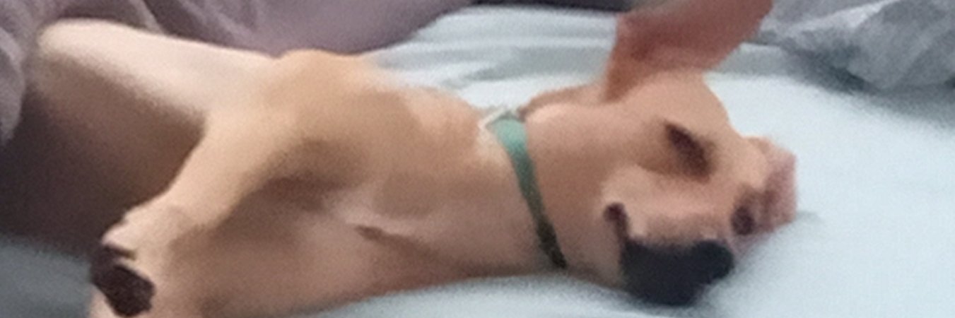 ma_caco17's profile banner image