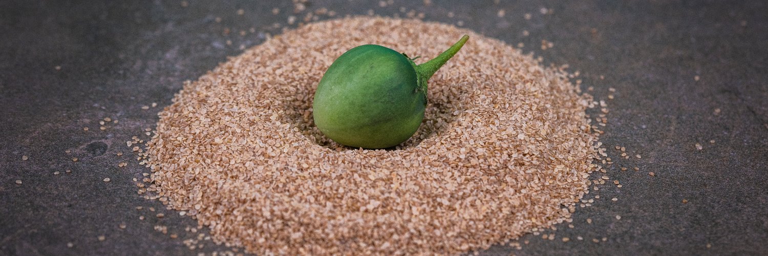 solynta - true potato seeds banner