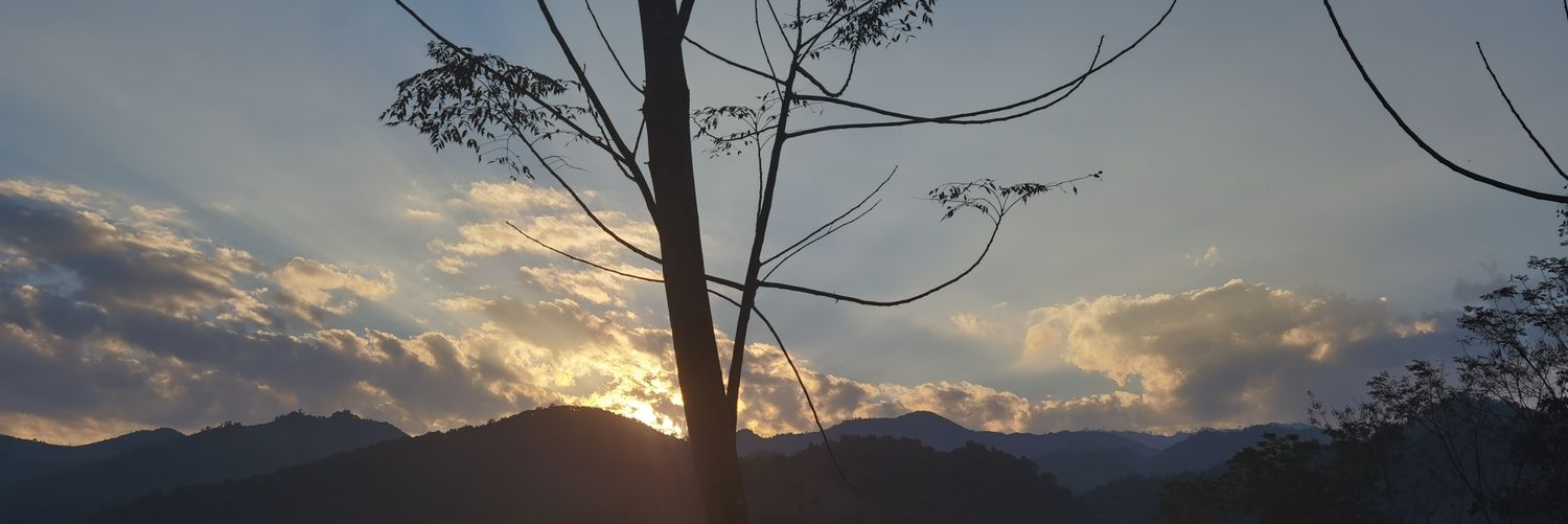 BsunflowerB's profile banner image