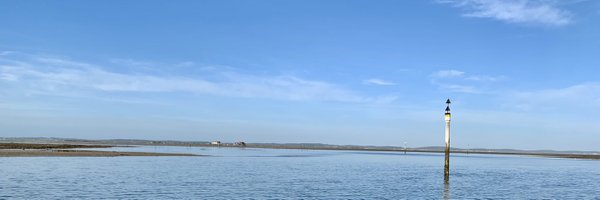 msilti Profile Banner