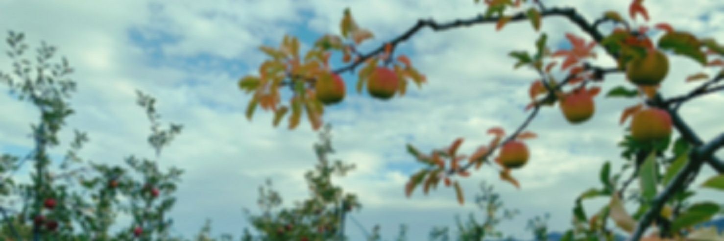 ユウム banner