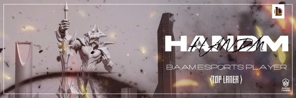 Handm_lol Profile Banner