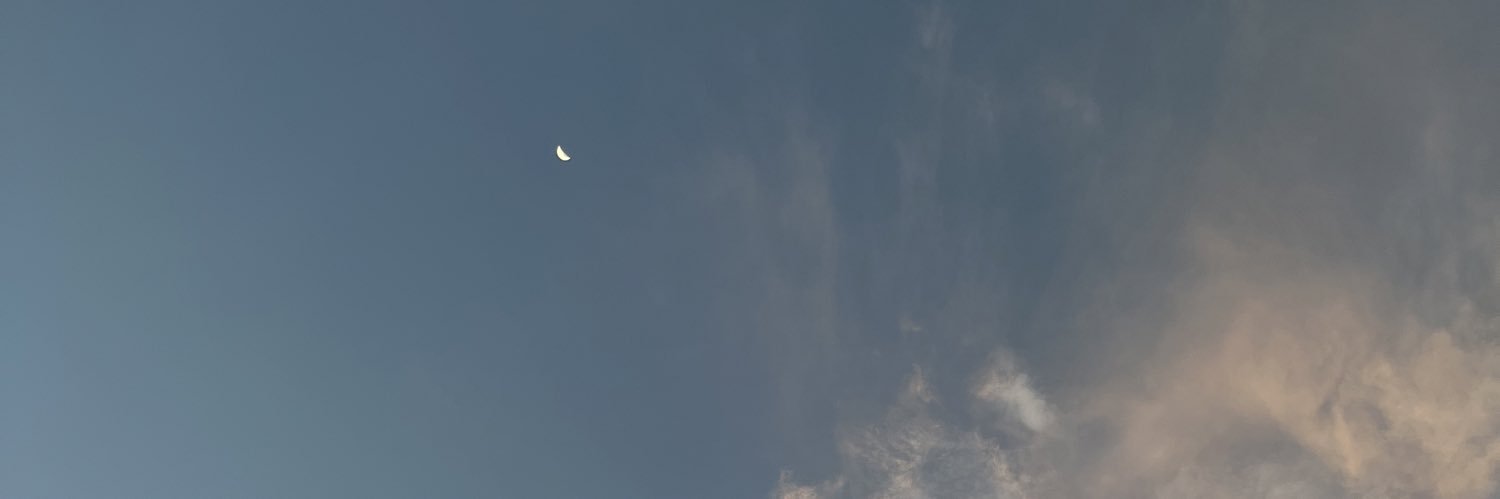 SIN banner