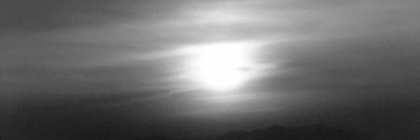 megwaism Profile Banner