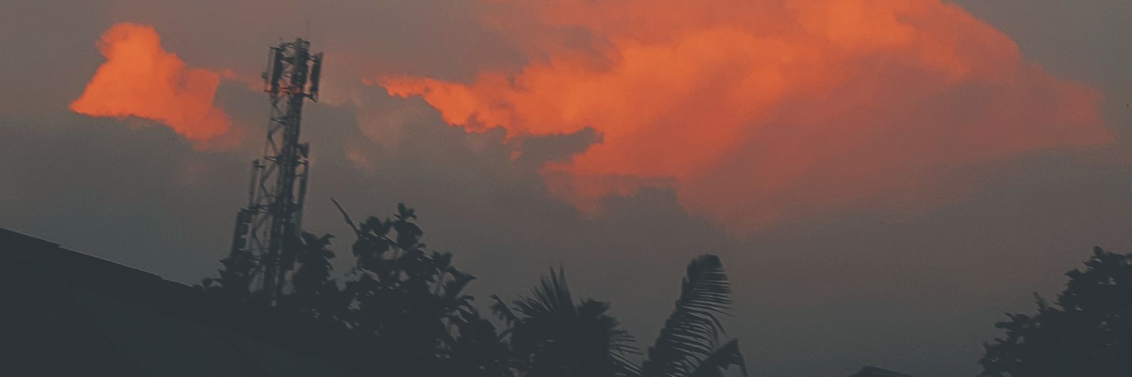 Nicolas Brian banner