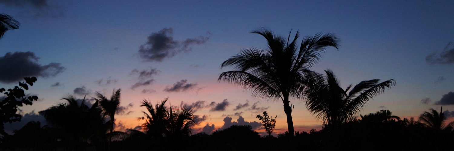 sdunne29's profile banner image