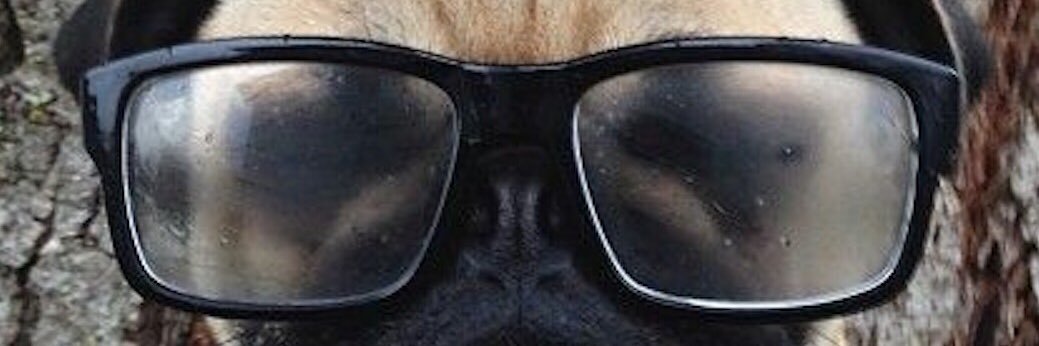 chucho_norte's profile banner image