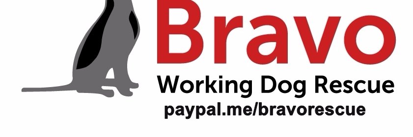 bravodogrescue's profile banner image