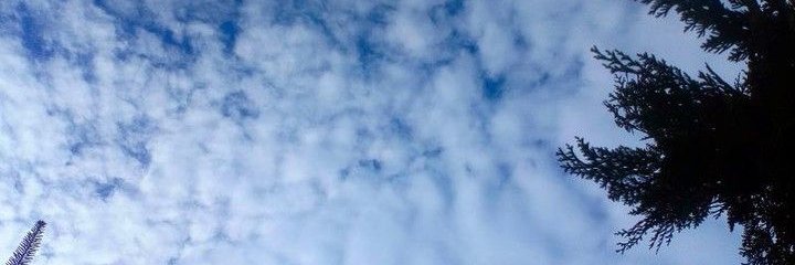 LucieMercedes's profile banner image